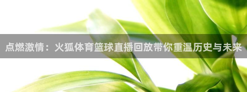 点燃激情：火狐体育篮球直播回放带你重温历史与未来