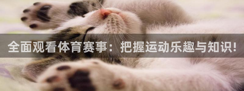 全面观看体育赛事：把握运动乐趣与知识!
